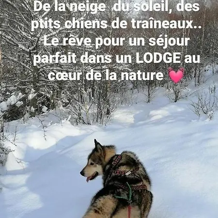 Lodge Bien-être et Nature Soultzeren Extérieur photo