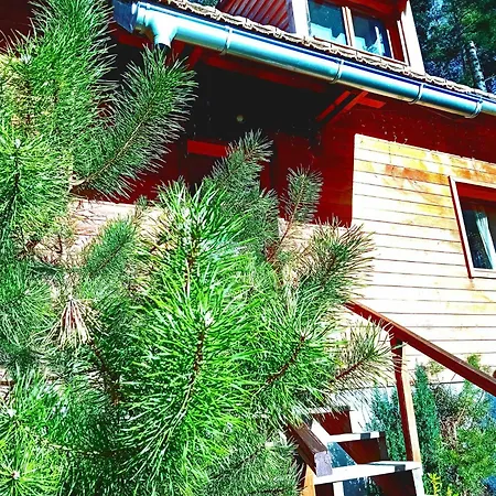 Lodge Bien-être et Nature Soultzeren Extérieur photo