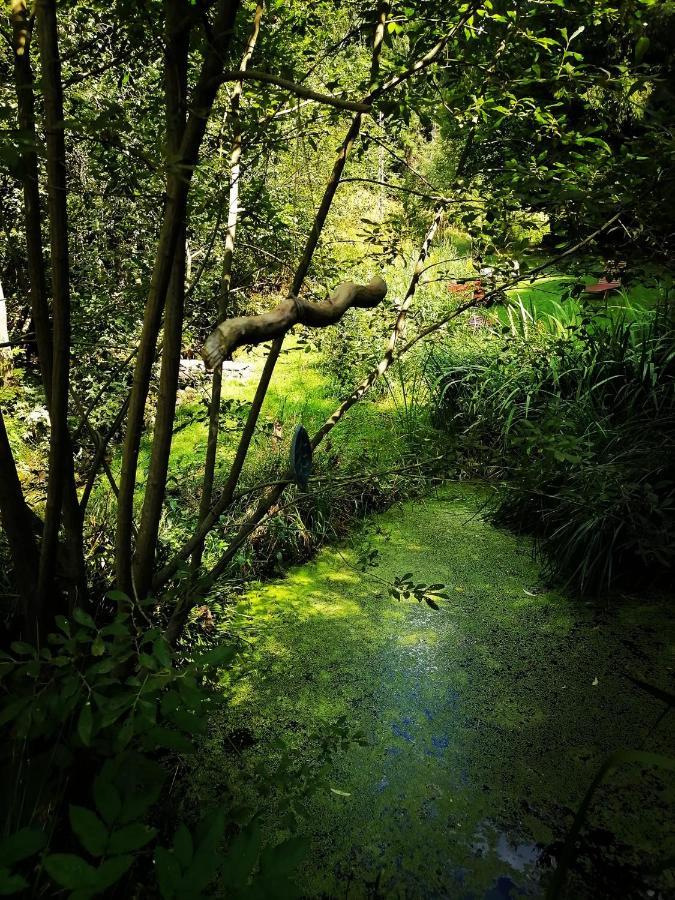 Domaine Les Nature ,private Wellness * Soultzeren