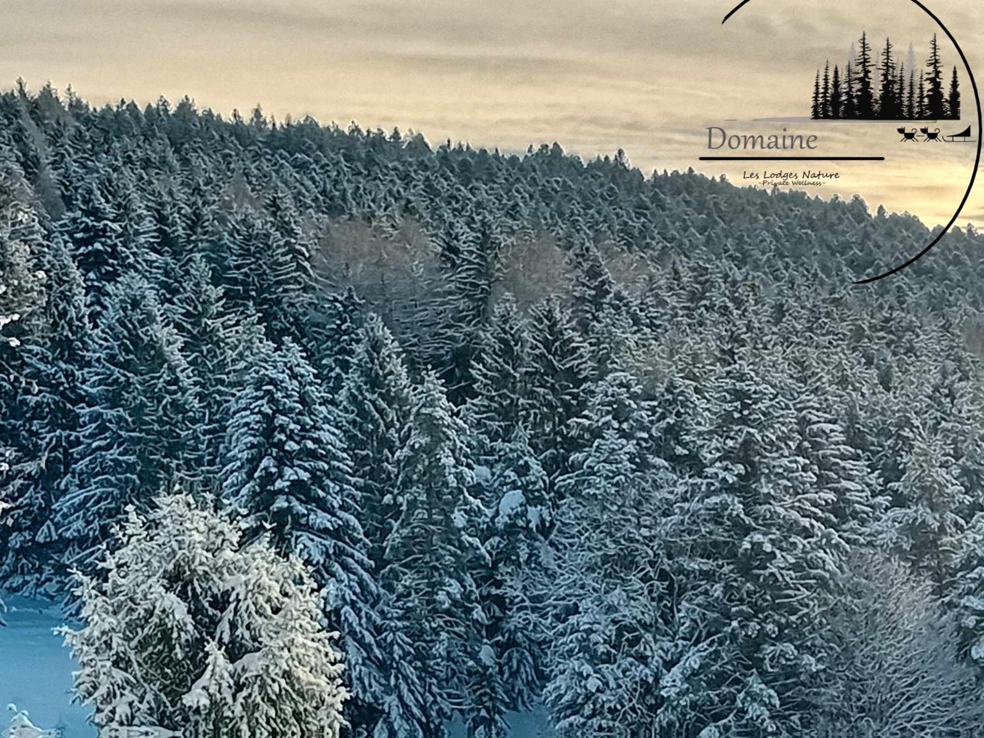 Domaine Les Nature ,private Wellness Soultzeren